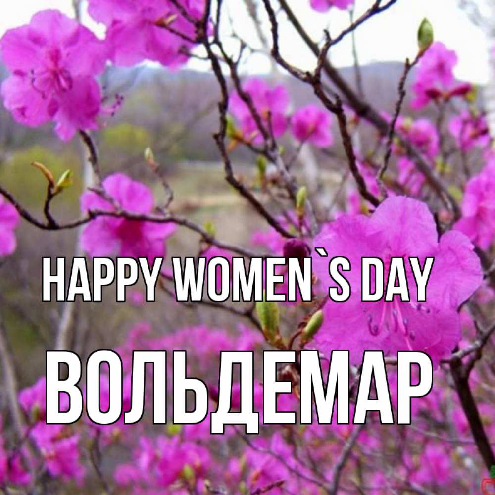 Greetings card с именем, Вольдемар happy women`s day международный женский день Greetings with text for free download 